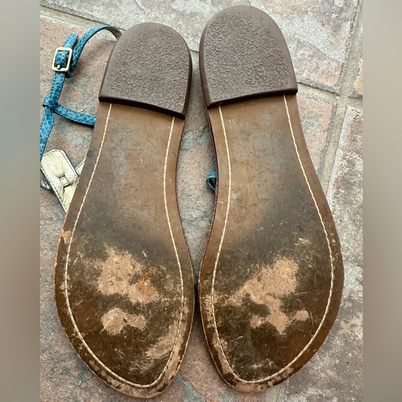 Sam Edelman Turquoise Snake Gigi Sandals - Picture 2 of 4